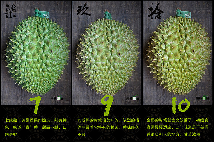 干尧榴莲七九成熟度分辨