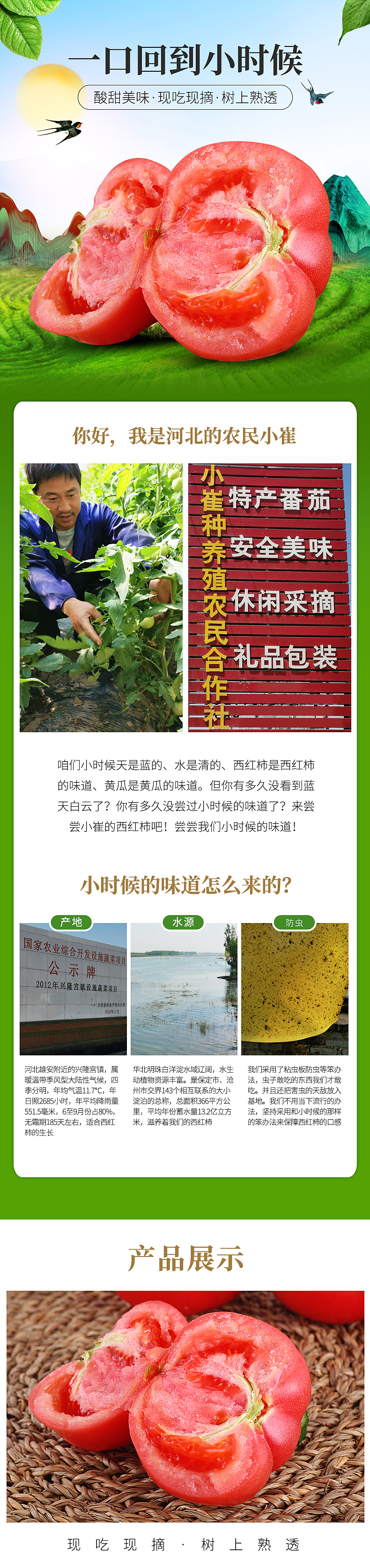 西红柿详情页设计（图ZMTYxODg2Njgw） - 电商 - 站酷设计师麦咔影视原创素材 - 站酷ZCOOL