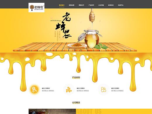 蜂蜜网站改版设计