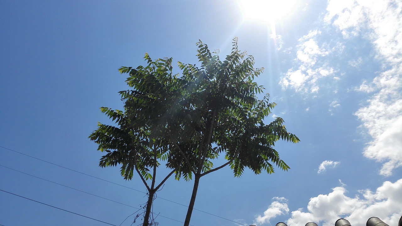 手機(jī)照片做的底圖（圖ZMjg2MjE0ODQ=） - 品牌 - 站酷設(shè)計(jì)師SHINE1115原創(chuàng)素材 - 站酷ZCOOL