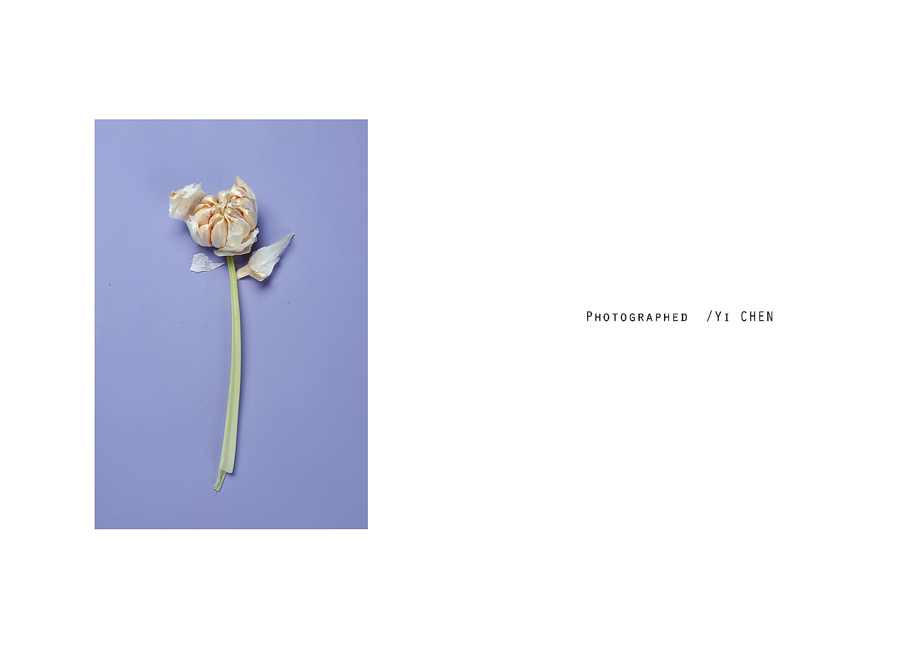 物 | 静止的时间