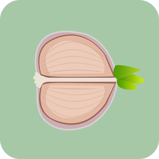 蔬菜图标（图ZNjQyODA1MzY=） - 图标 - 站酷设计师先勤Nicole原创素材 - 站酷ZCOOL