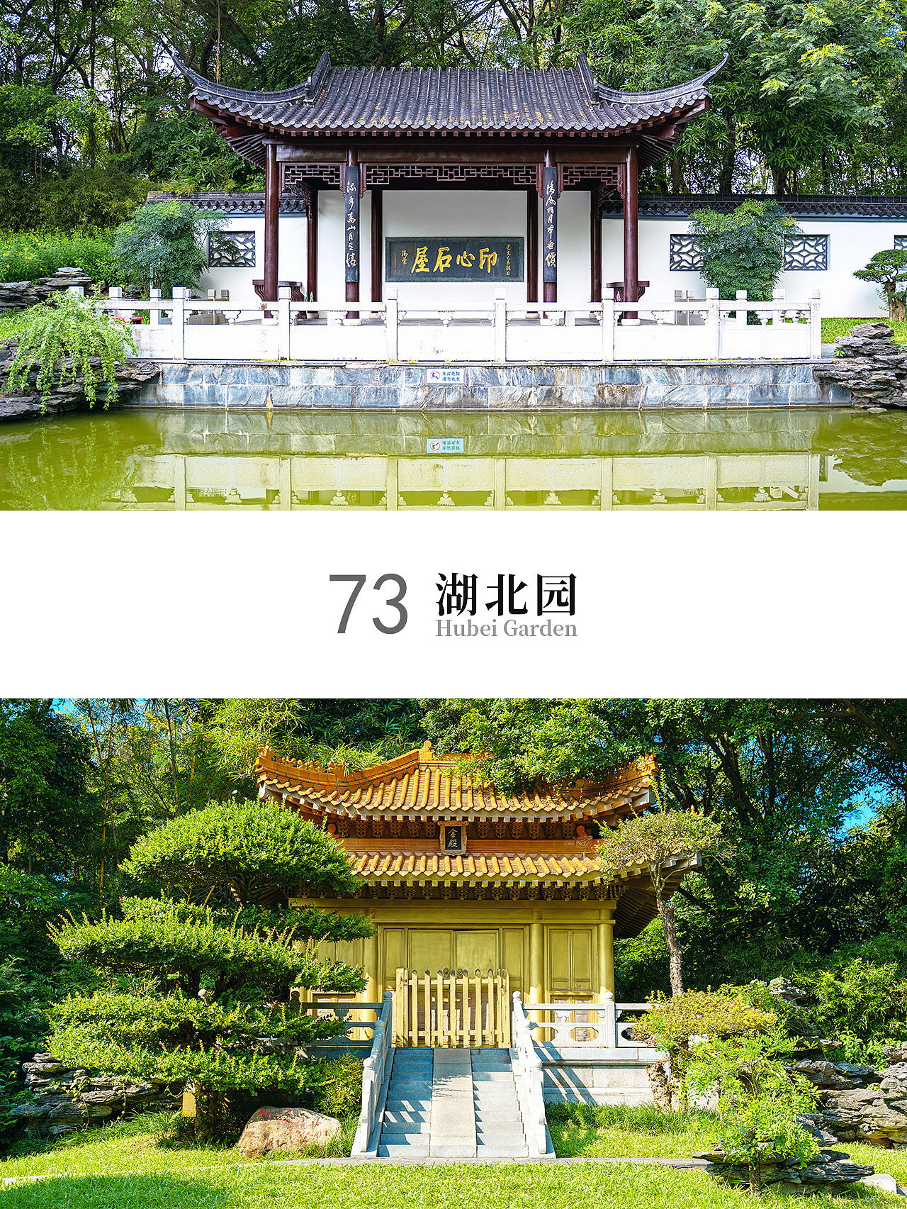 深圳园博园2021（图ZMjc1NDkyNDM2） - 环境/建筑摄影 - 站酷设计师摄影师杨涛原创素材 - 站酷ZCOOL