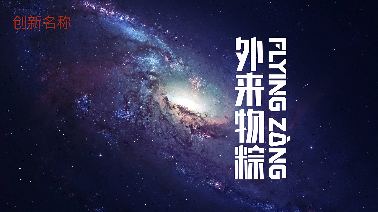 2019五芳斋端午“外来物粽”