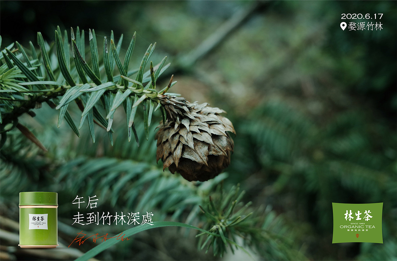 中国有机茶品牌如何从小众认知走向大众视野？