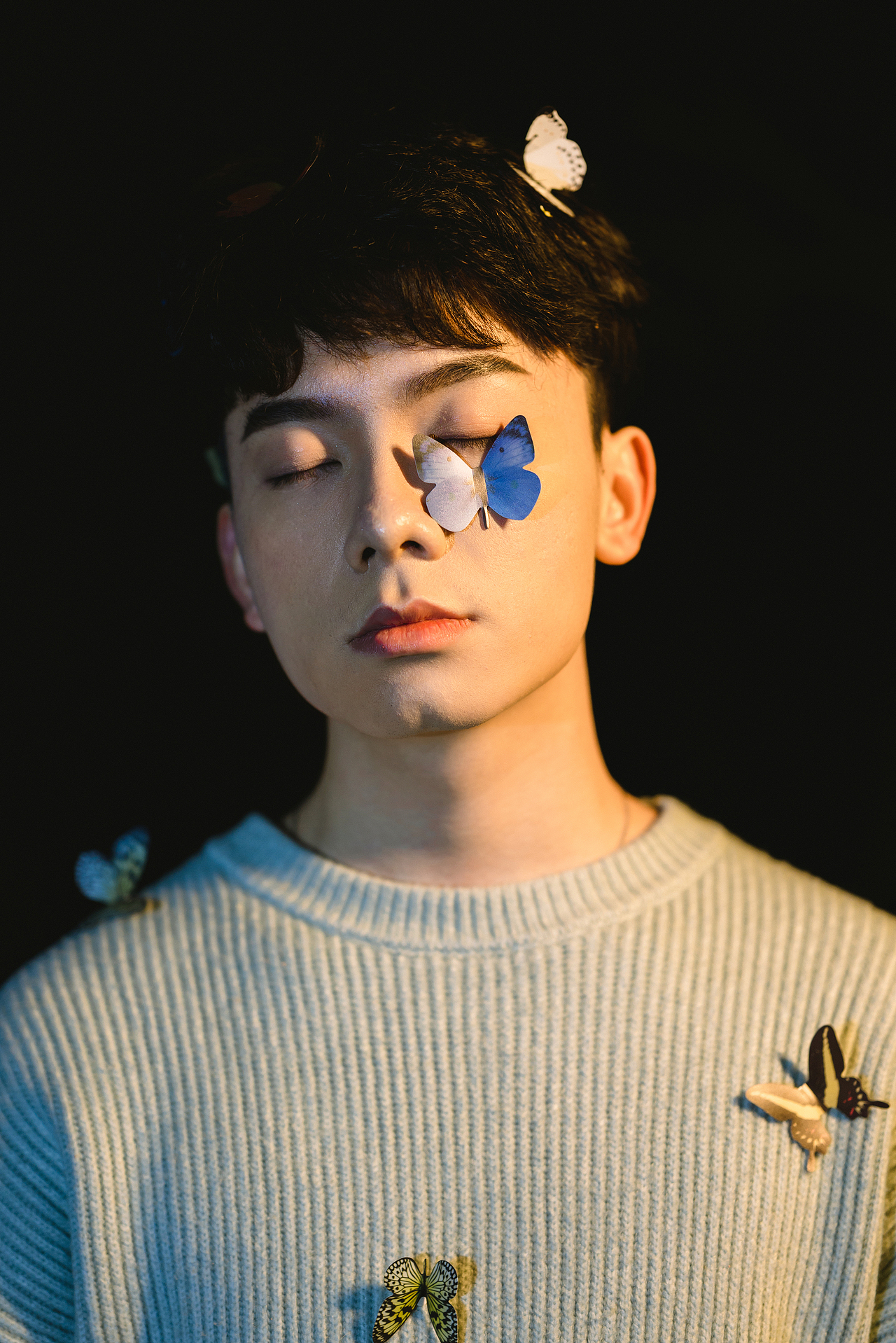 花瓣蝴蝶少年——蝴蝶篇(下集)