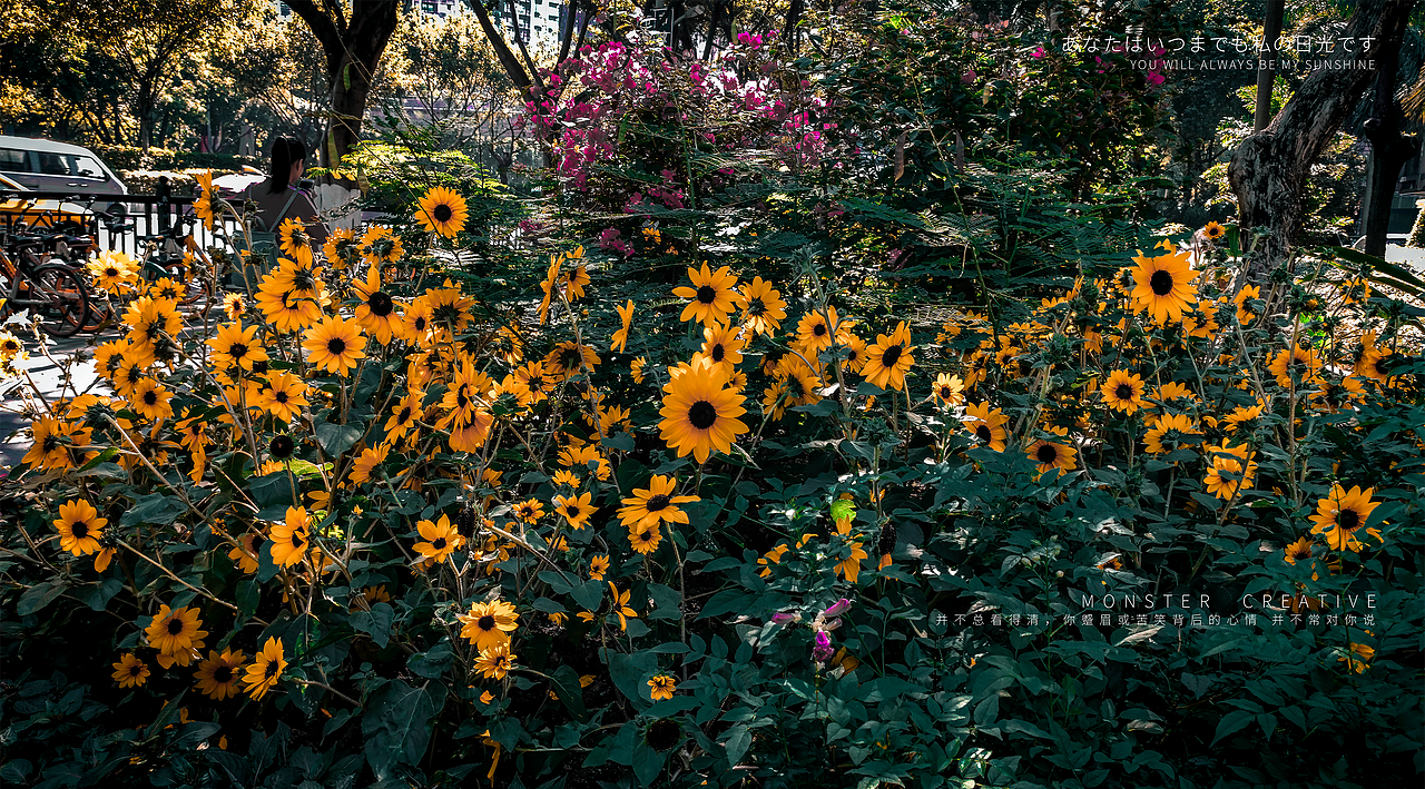 后期修图（图ZMTg2MTA0NTI4） - 修图/后期 - 站酷设计师MonsterCreative原创素材 - 站酷ZCOOL