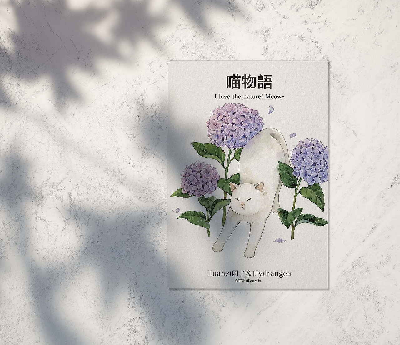 喵物语（图ZMjQwNTcwOTc2） - 商业插画 - 站酷设计师玉米呀yumia原创素材 - 站酷ZCOOL