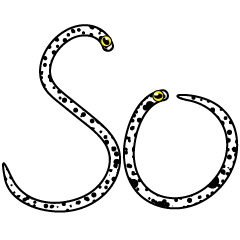 微信表情 GardenEel 花园鳗say英文