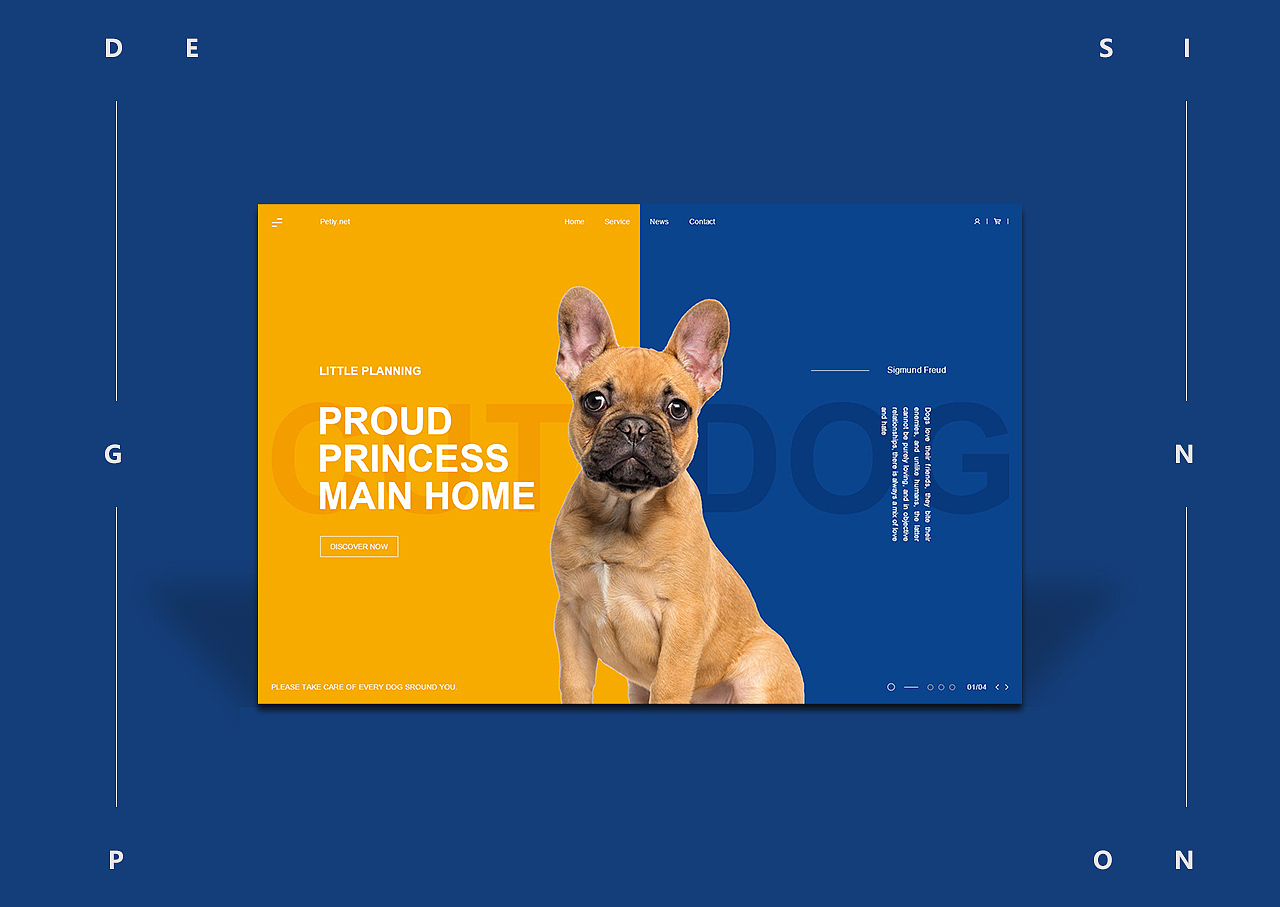 04——宝蓝色让我想起了狮子座的米线（大学舍友），便感觉狗狗也有了狮子座的霸气