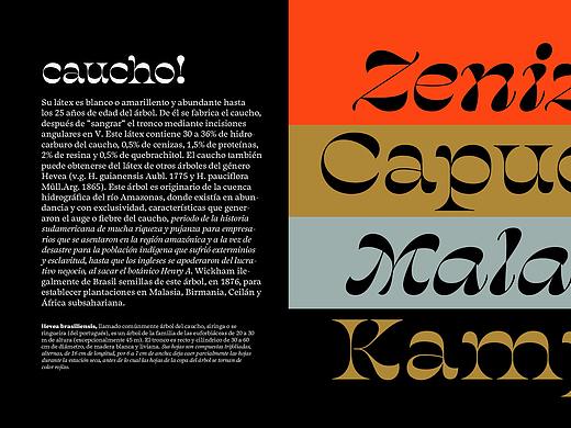 創(chuàng)意字體分享01 - Salvaje Display Font（個(gè)人主頁-ZNTQ1ODgwMjg=） - 字體/字形 - 站酷設(shè)計(jì)師KIMD0401原創(chuàng)素材 - 站酷ZCOOL