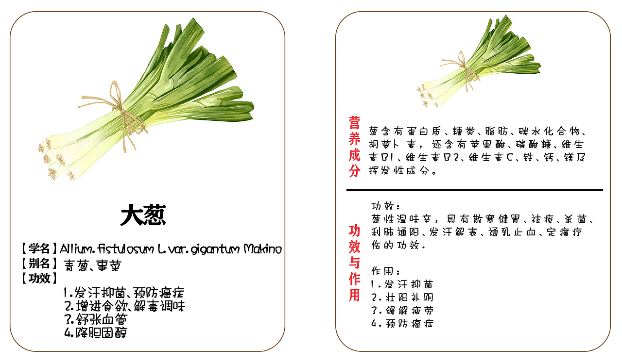 植物蔬菜科普卡贴（图ZMjgxNzc4MTg0） - 儿童插画 - 站酷设计师胖琳PANGLIN原创素材 - 站酷ZCOOL