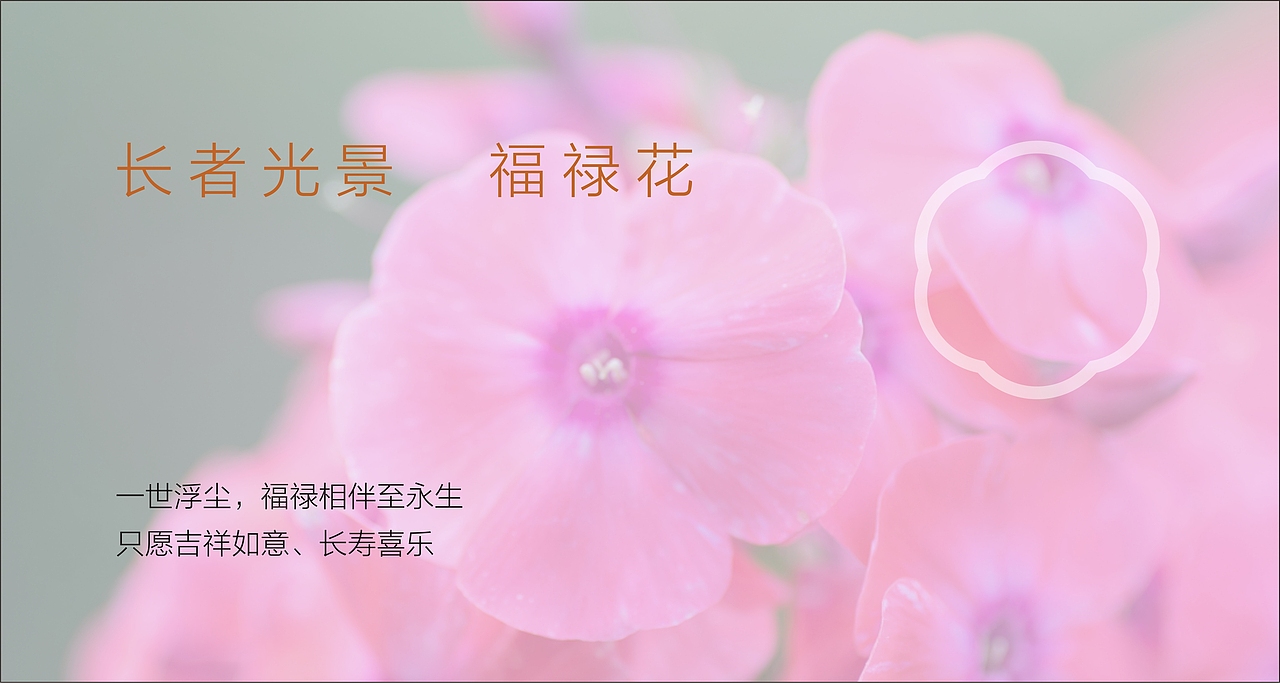 佛山畅享荟养老院高端品牌设计策划