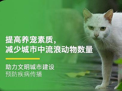 1（个人主页-ZNTg2OTE5ODQ=） - 海报 - 站酷设计师Fi6600原创素材 - 站酷ZCOOL