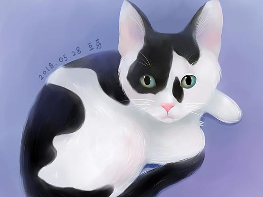 我喵（个人主页-ZMjgxODQyNDg=） - 创作习作 - 站酷设计师周小痘原创素材 - 站酷ZCOOL