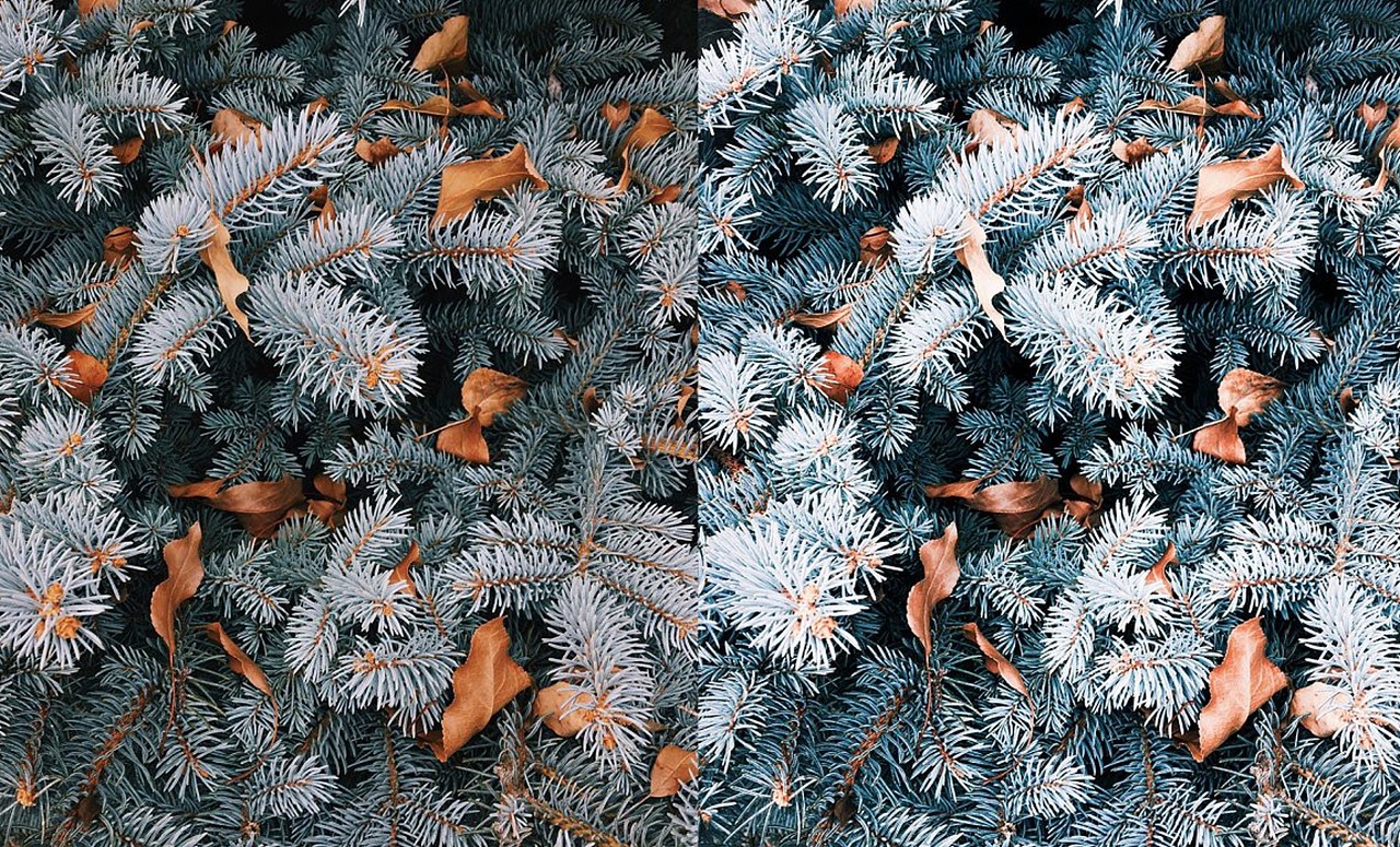 冬季旅拍人像风光Lr预设（图ZMjM1ODU5ODg4） - 人像摄影 - 站酷设计师mac开心原创素材 - 站酷ZCOOL