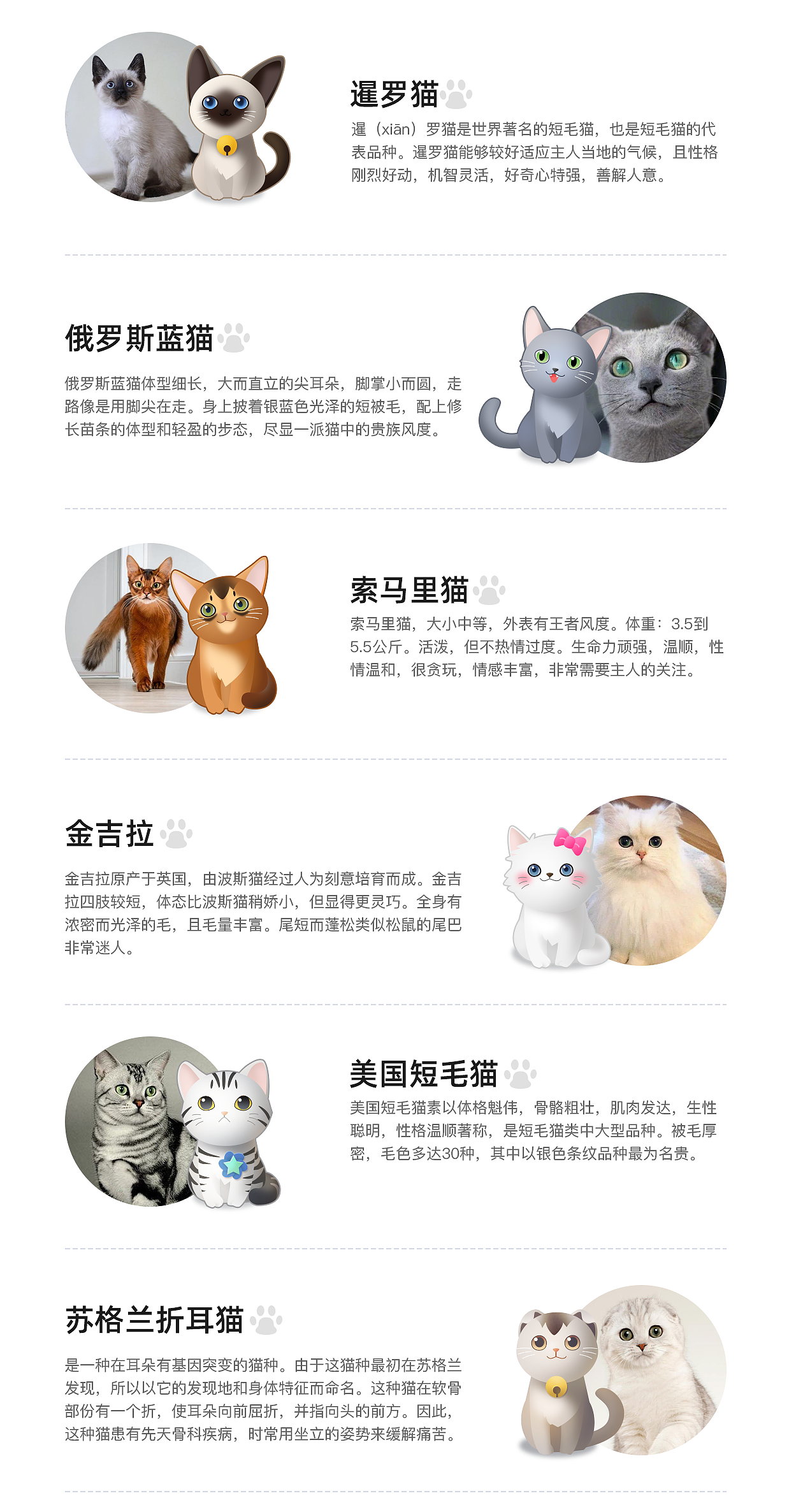 猫猫卡通形象设计