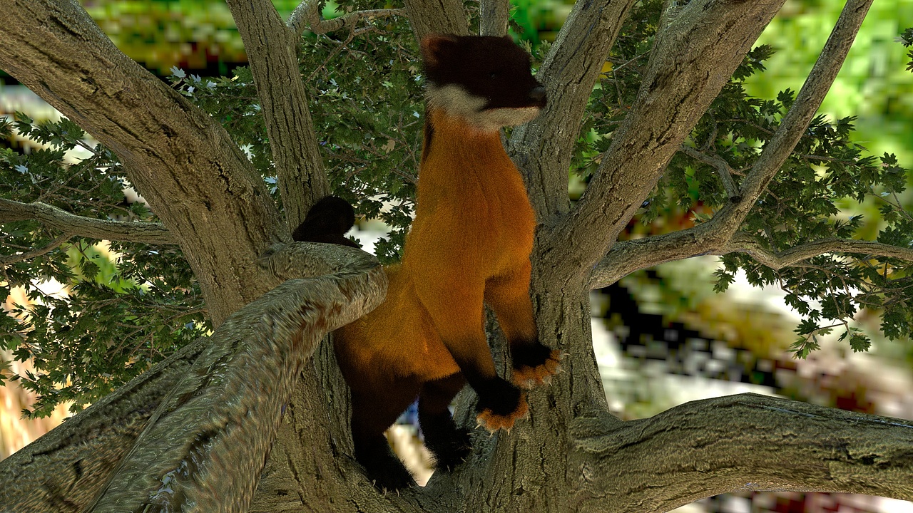 珍稀野生动物 黄喉貂（图ZMTEzNzQzMzQw） - 人物/生物 - 站酷设计师粗眉萝卜头原创素材 - 站酷ZCOOL