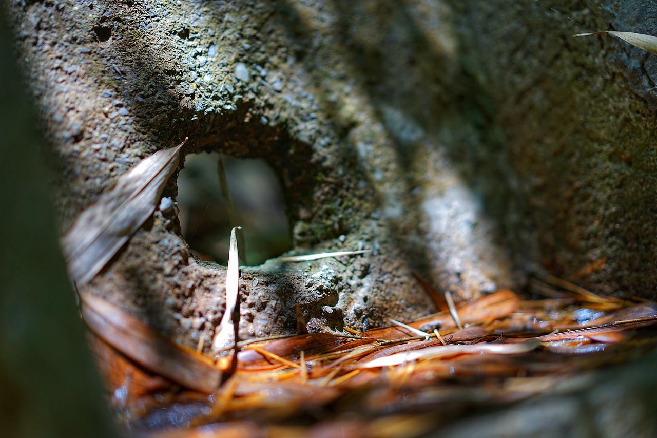 时光印记（图ZMTIxOTIwNDI4） - 人文/纪实摄影 - 站酷设计师阿悠设计事务所原创素材 - 站酷ZCOOL