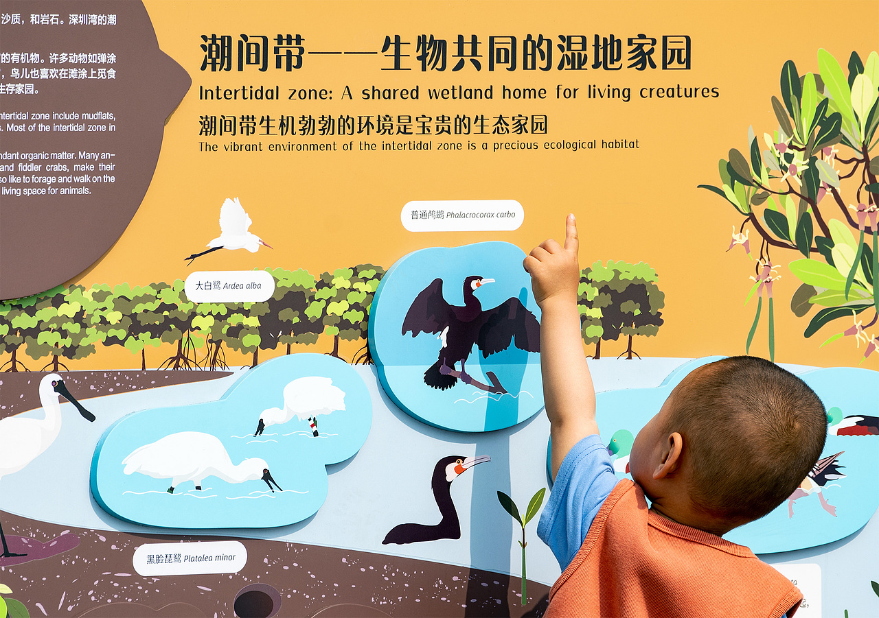 深圳湾公园湿地主题解说牌