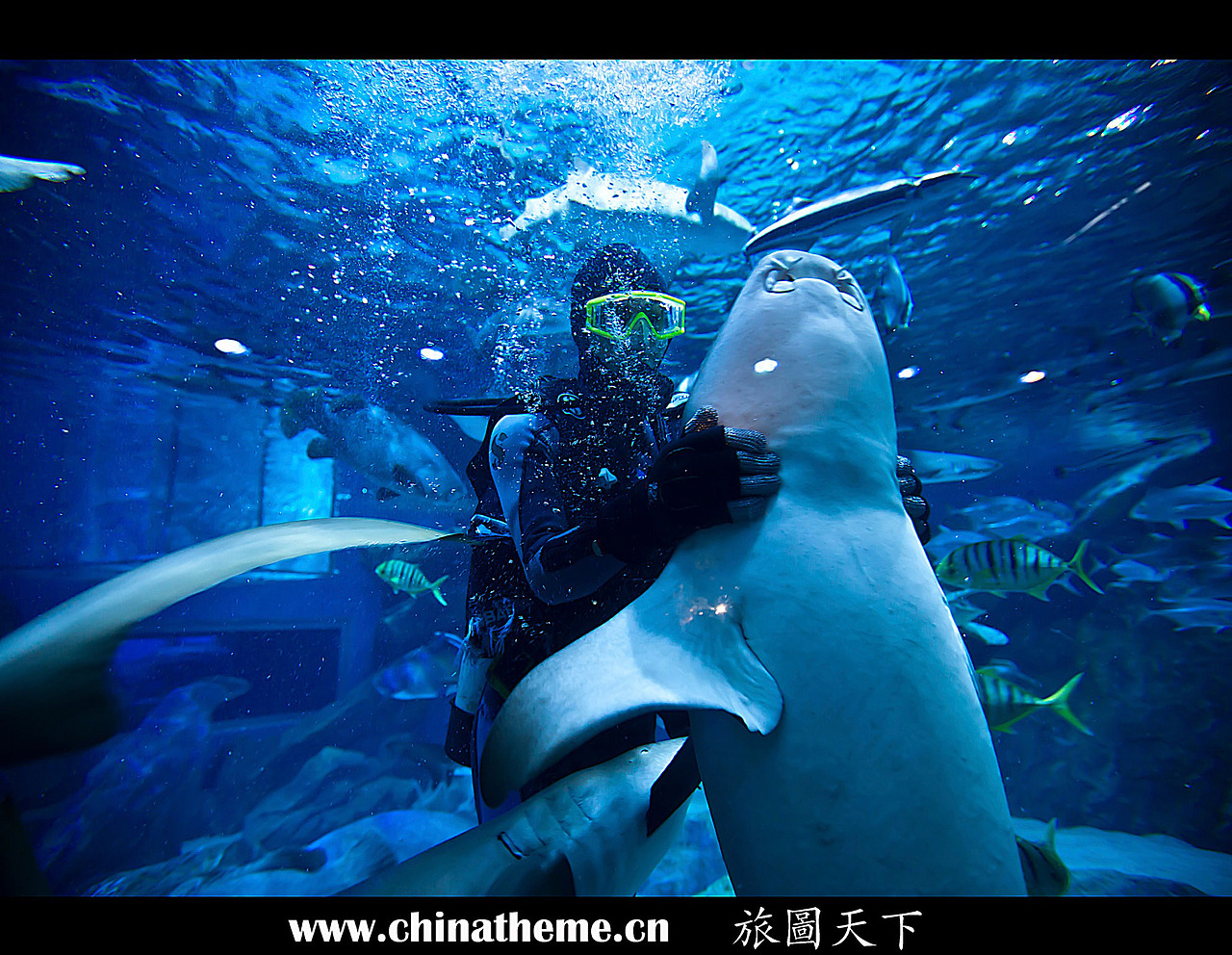 大连圣亚海洋世界lll