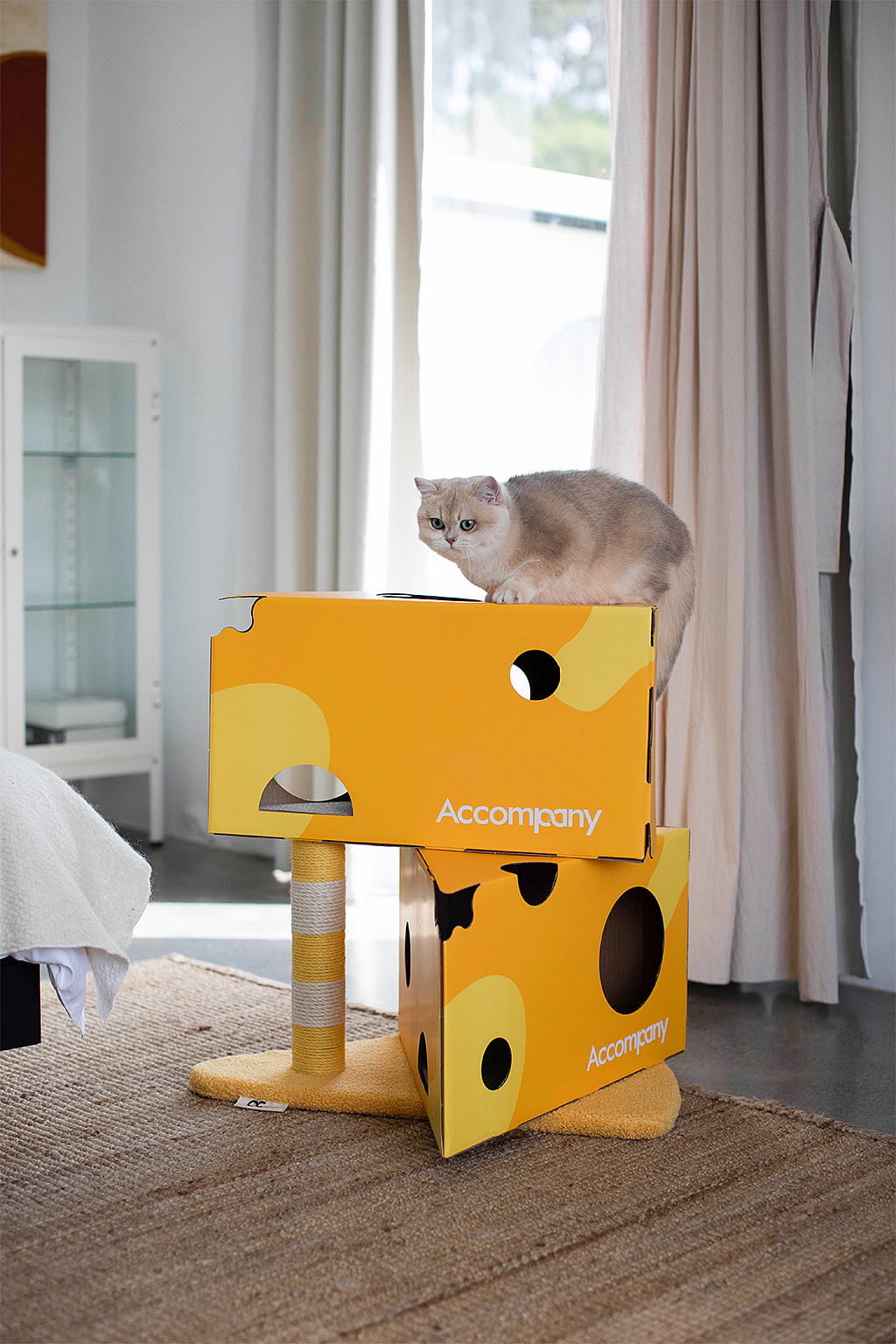 猫爬架纸箱设计