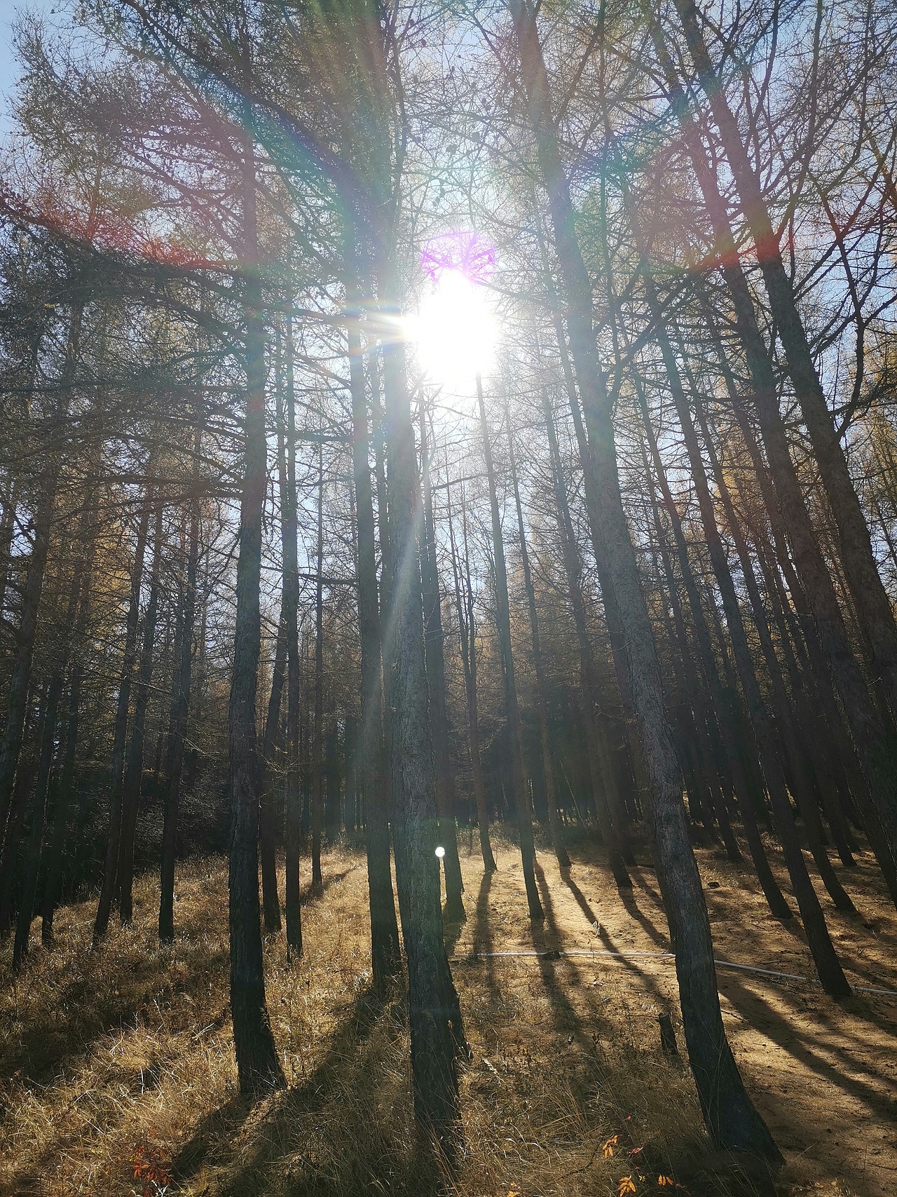 承德坝上风光（图ZMTk4NjIxNzQ4） - 风光摄影 - 站酷设计师道道D原创素材 - 站酷ZCOOL