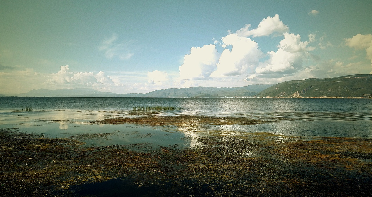 手机摄影-摄影题材来源于大理