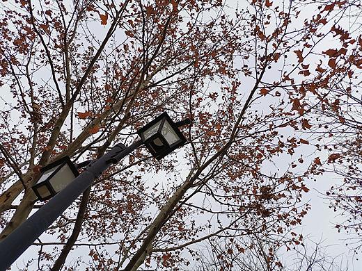 手機攝影瞬間（個人主頁-ZNDYyODMwNTY=） - 其他攝影 - 站酷設(shè)計師開元初世原創(chuàng)素材 - 站酷ZCOOL