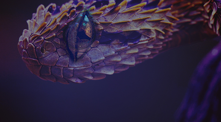 盗墓笔记 烛九阴