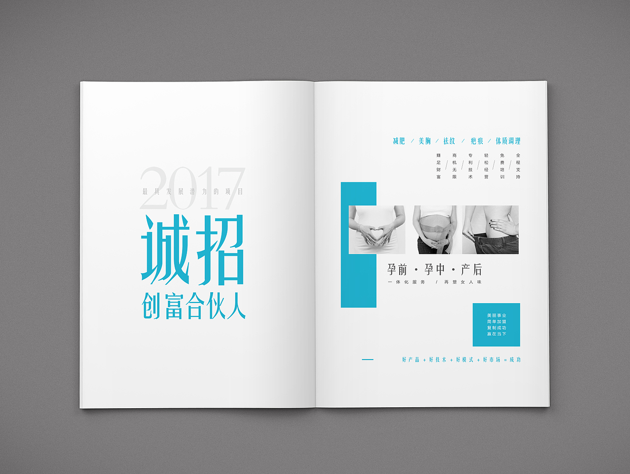 手册（图ZOTk1MDc2MzI=） - 书籍/画册 - 站酷设计师令君原创素材 - 站酷ZCOOL