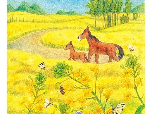 这个月给杂志画的封面插图♥～