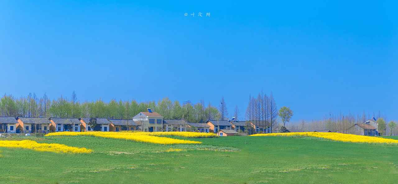 在东荆河畔找寻春（图ZMjkzNDk1MjQw） - 风光摄影 - 站酷设计师叶念翔原创素材 - 站酷ZCOOL