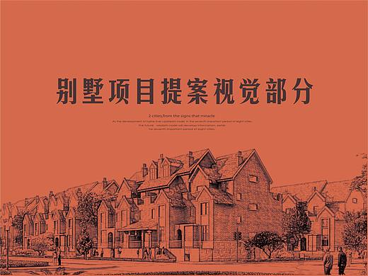 别墅项目提案视觉部分