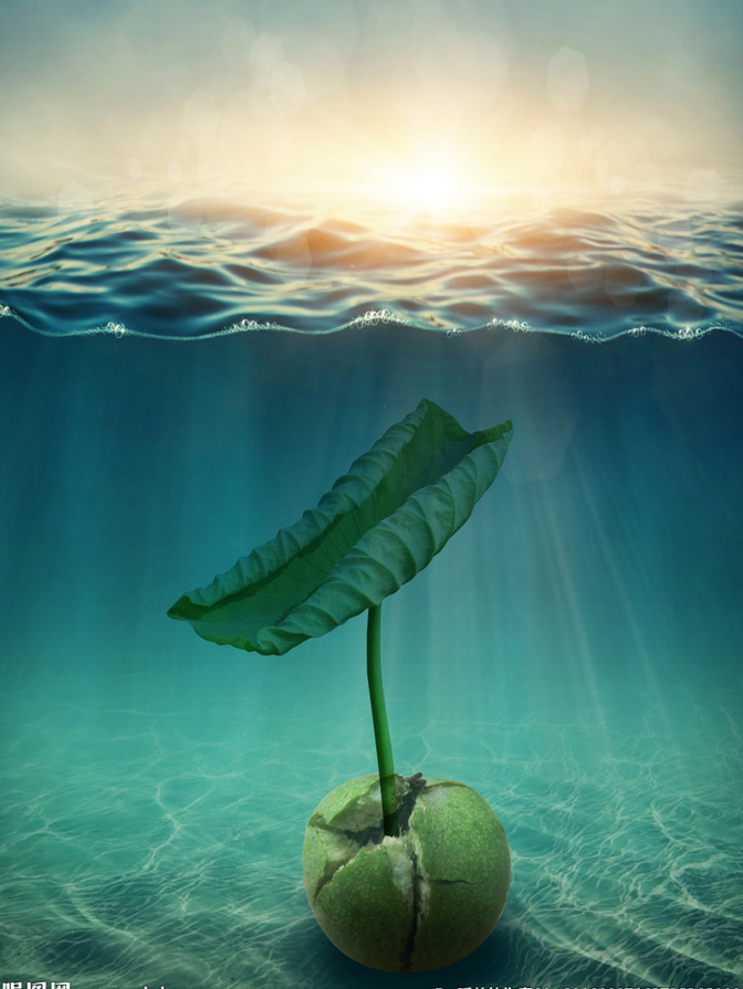 河底的核桃生长的荷叶|插画|概念设定|zdzd99 - 原创作品 - 站酷