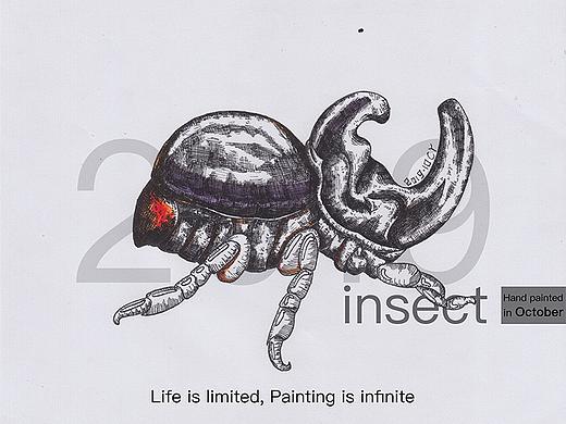 #胖子昆虫系列#