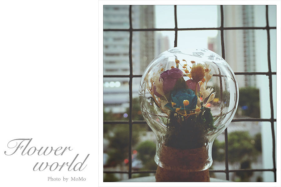 Flower world（爱疯摄影）（图ZMzk4MTk5NDQ=） - 产品摄影 - 站酷设计师M仔bakushibi原创素材 - 站酷ZCOOL