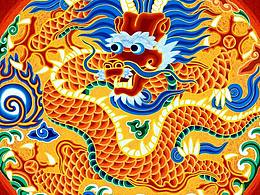 線圈插畫練習——明式團龍