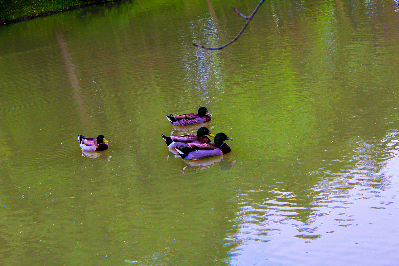 泰国曼谷、普吉岛