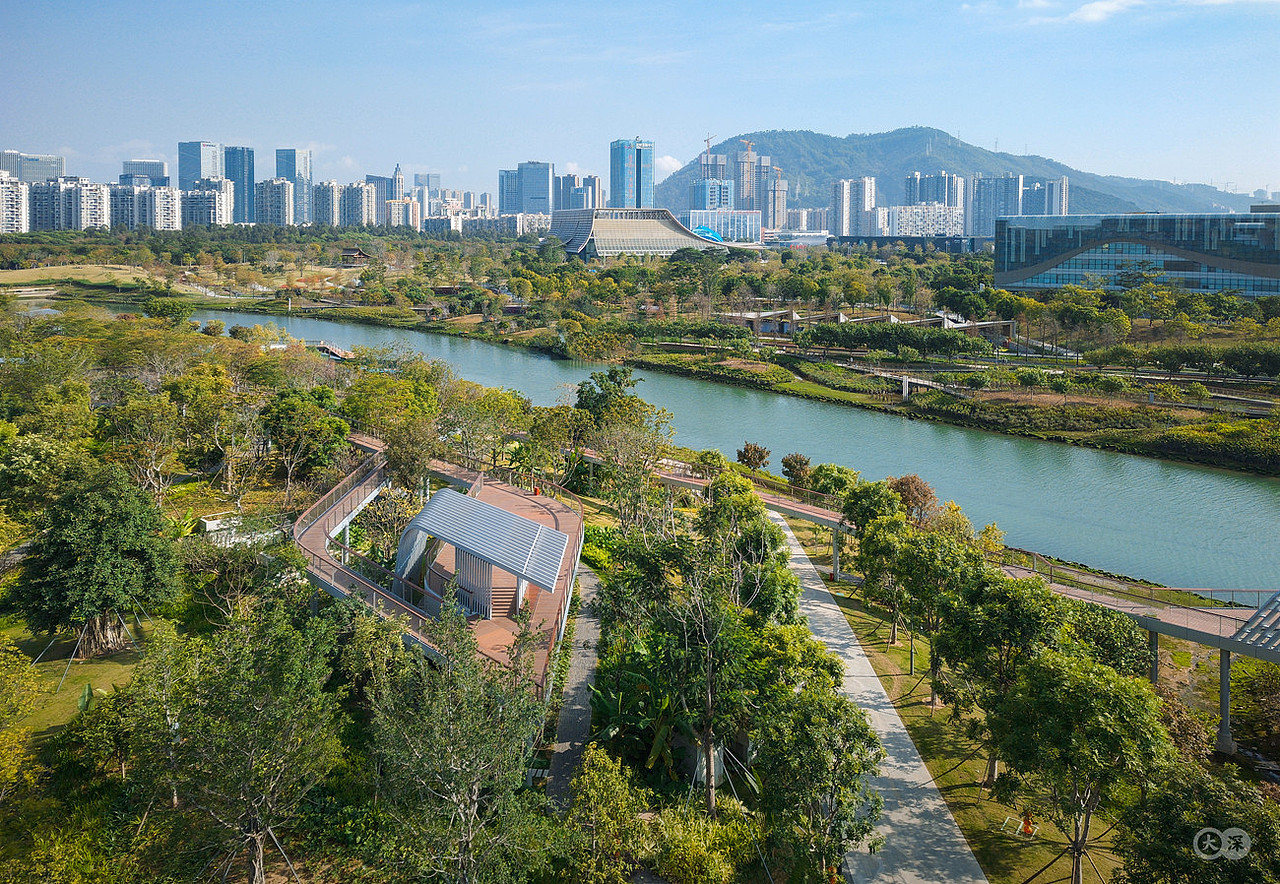 桂湾公园景观摄影|躺在地面的前海新地标