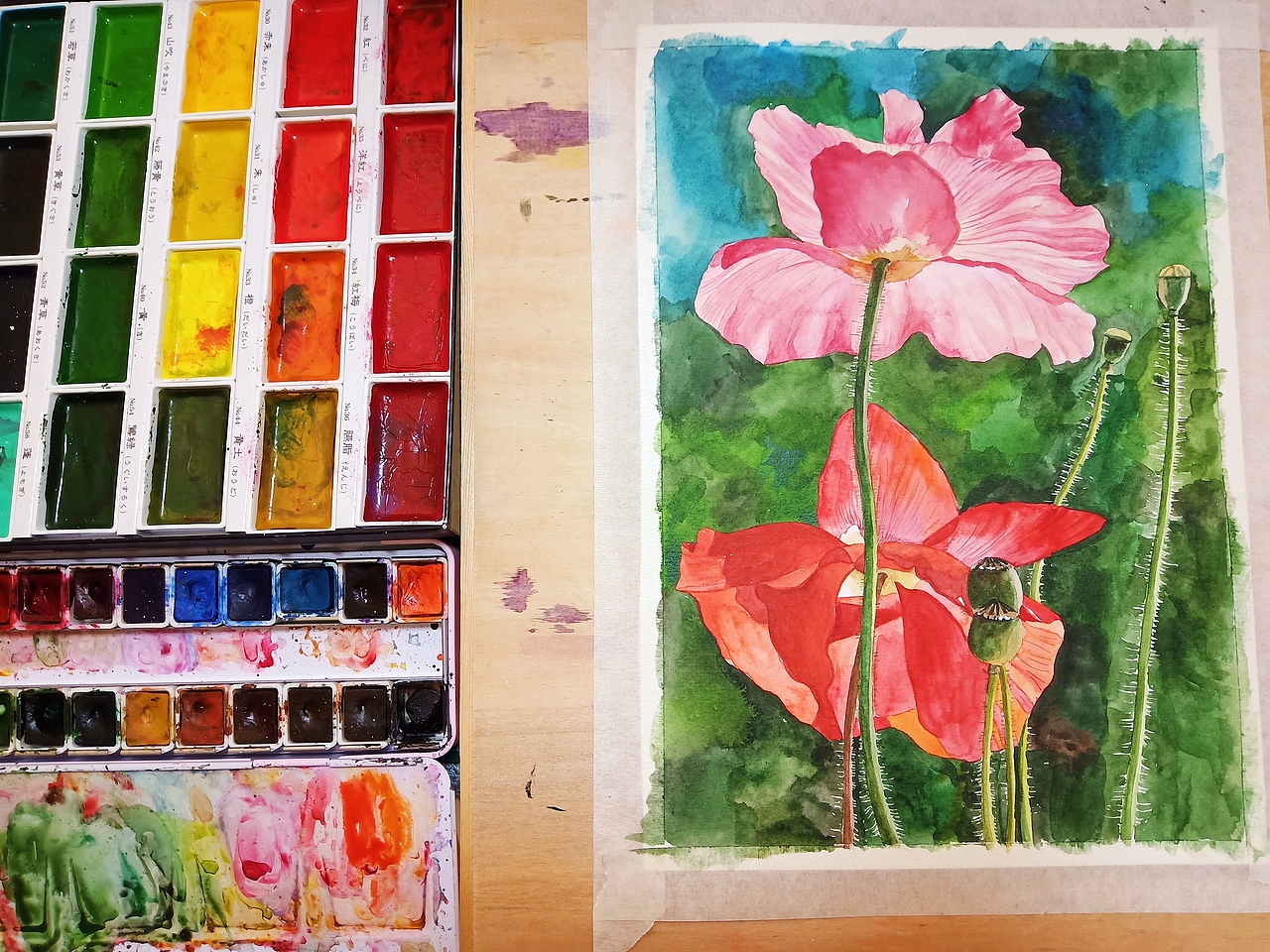 水彩花卉写生