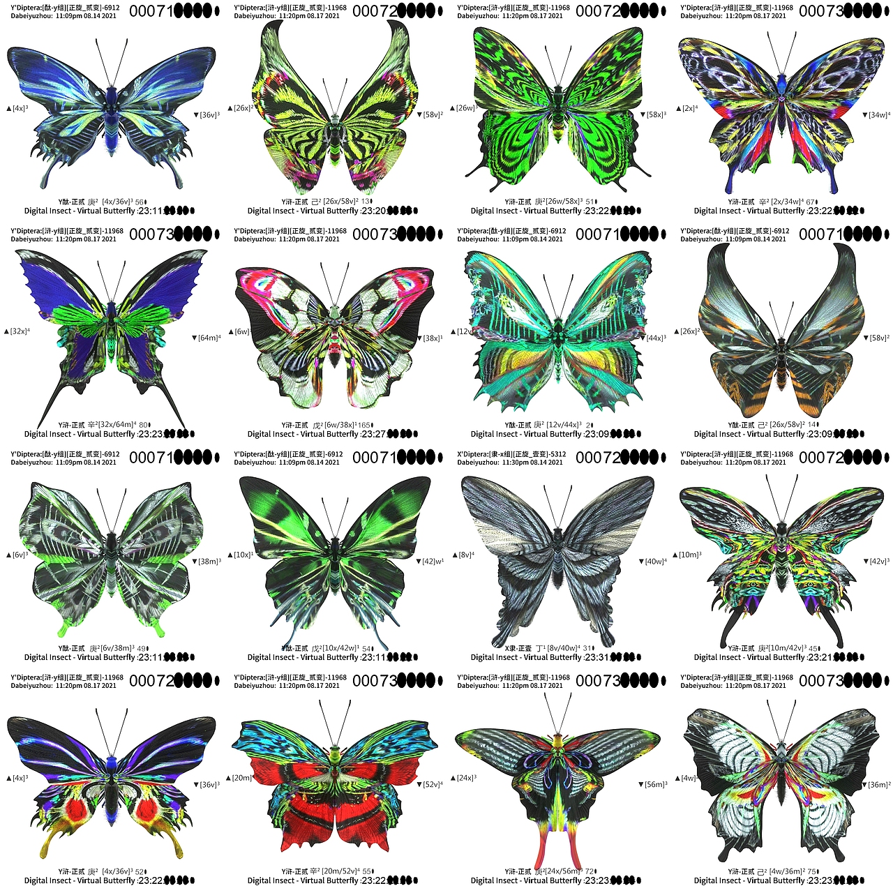 用互联之网捕捉虚拟蝴蝶
