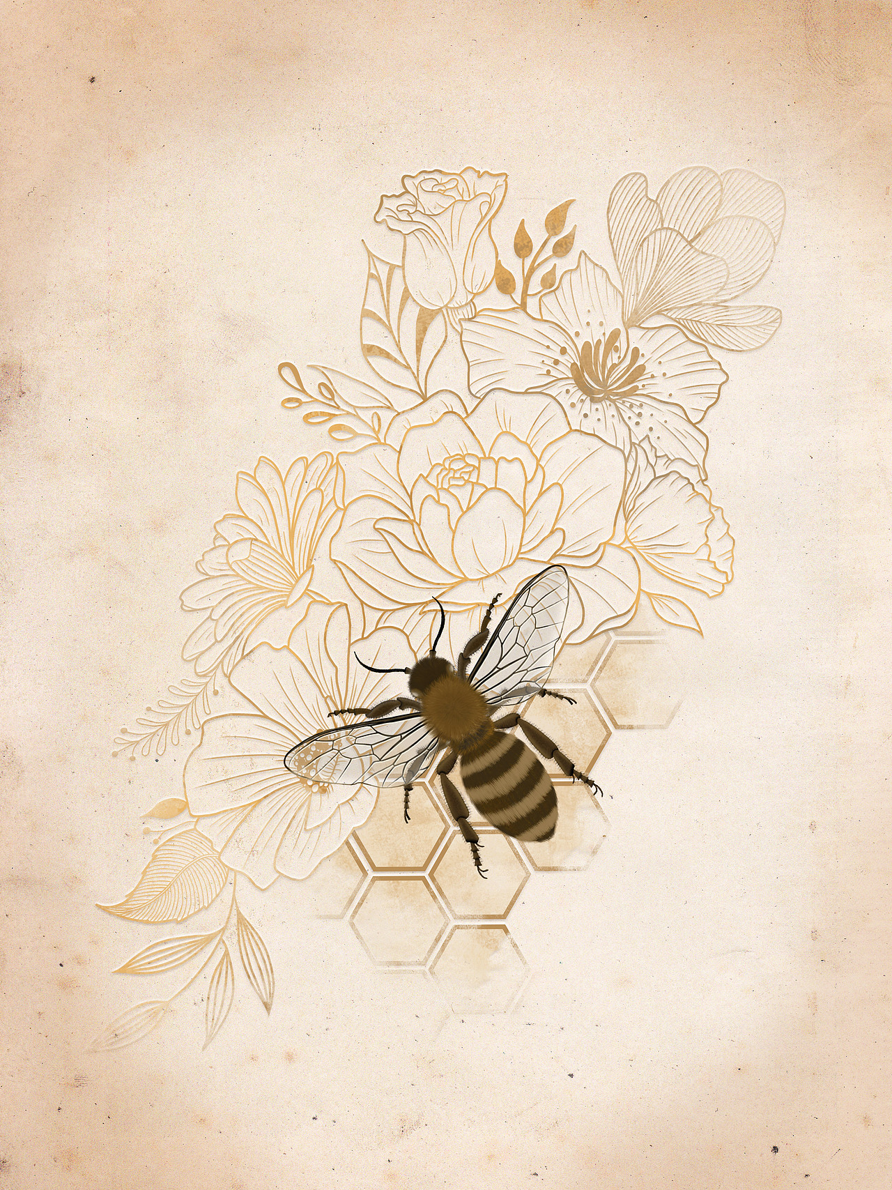蜜蜂|插画|创作习作|nikoou_原创作品-站酷zcool