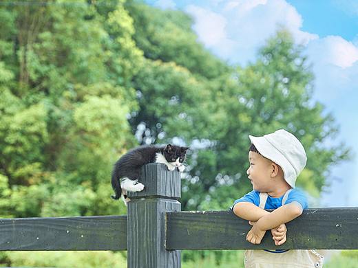 一树 一人 一猫