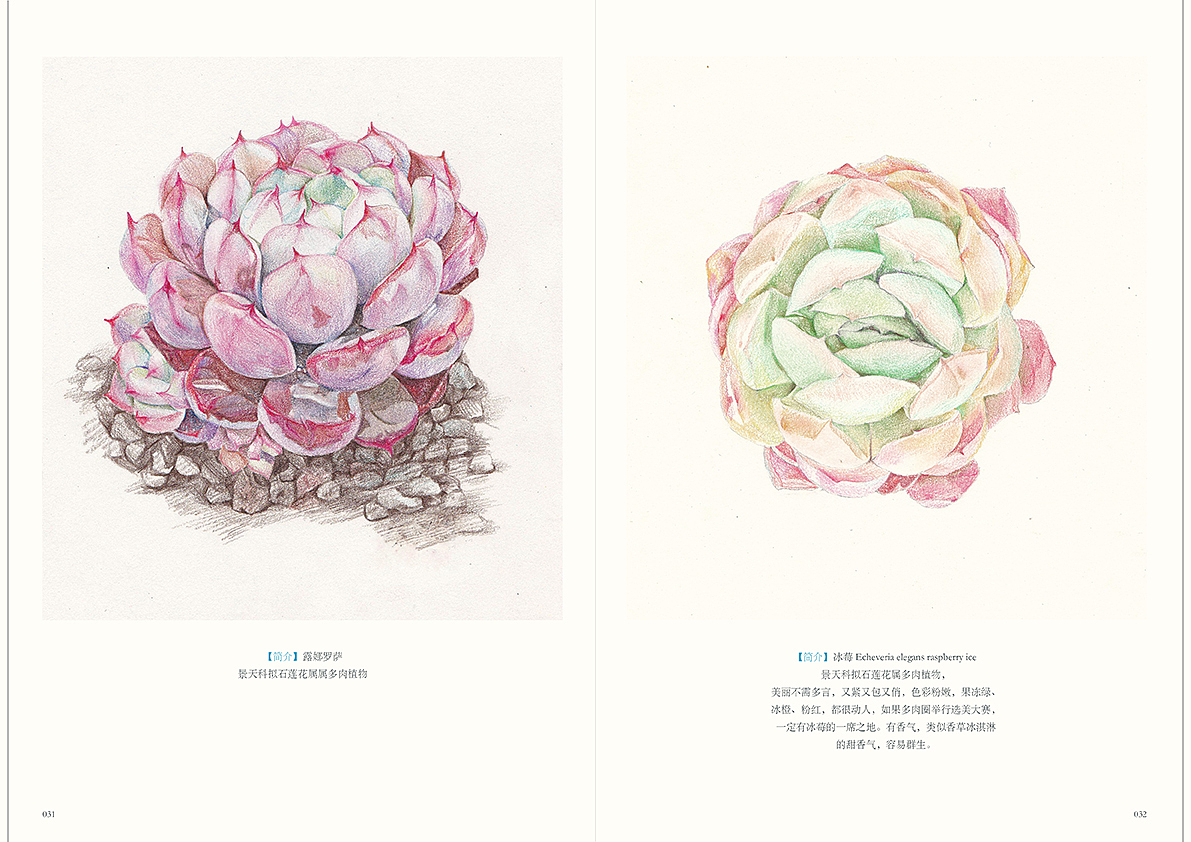 暮鱼MUYU手绘作品集