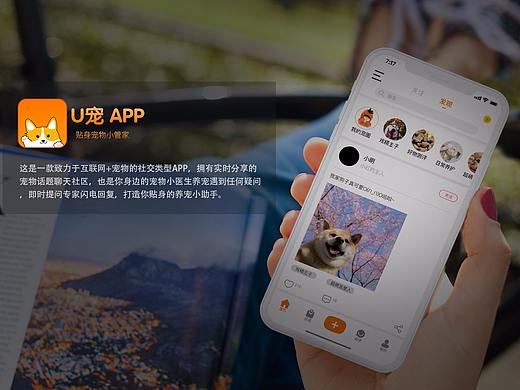 宠物APP界面设计