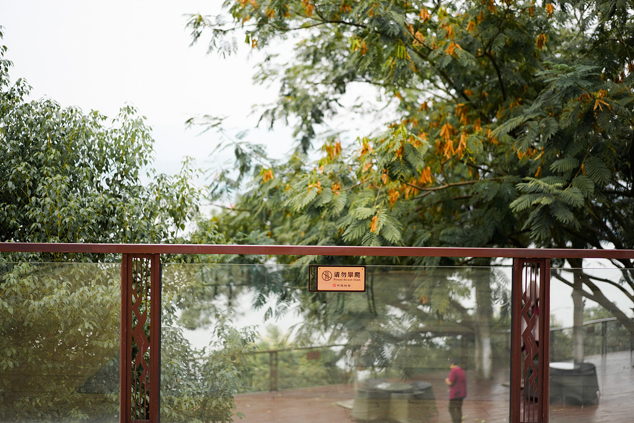 别过夏花绚烂,走进秋晨静美