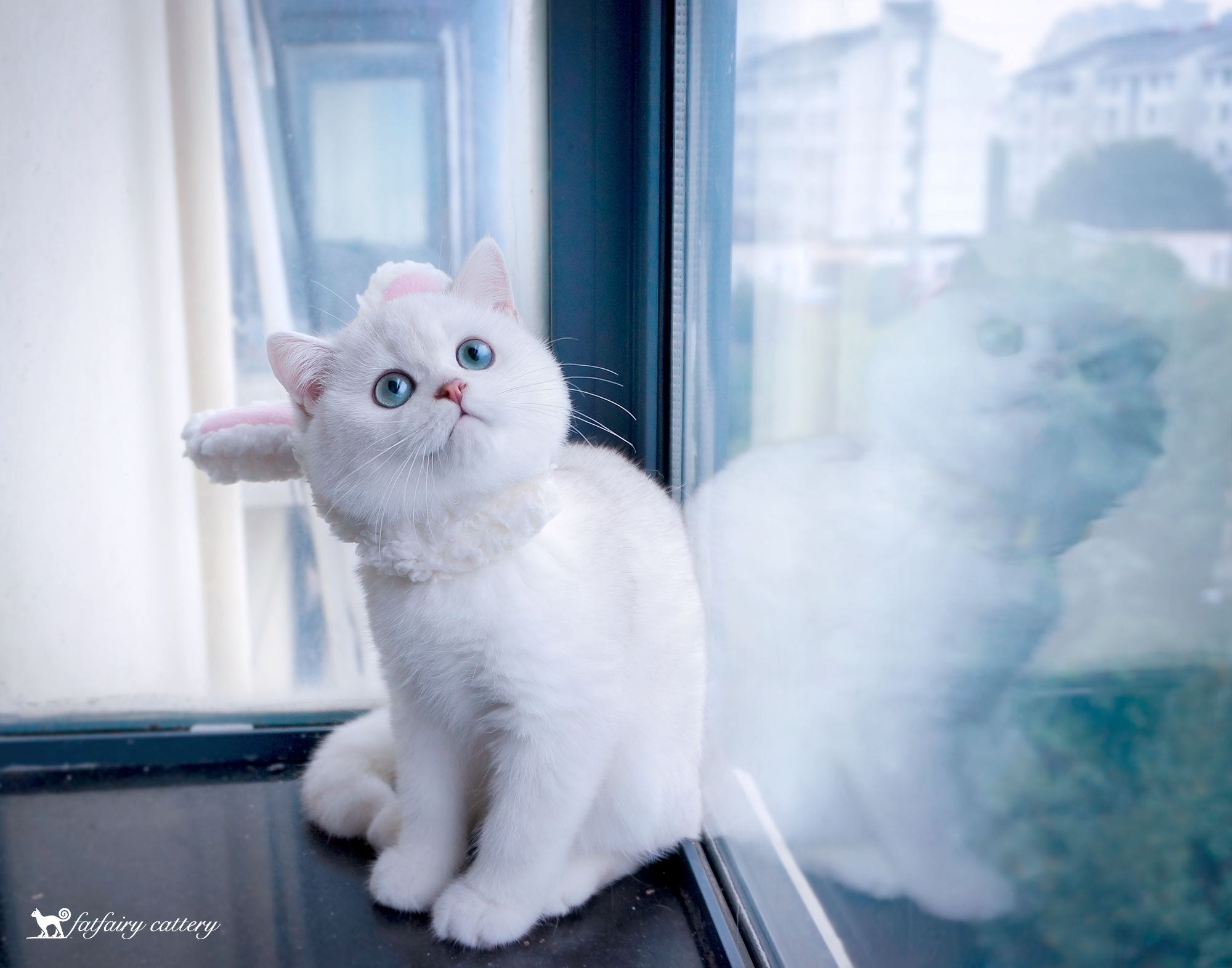 Panda西的个人主页（封面预览） - 主页封面设置 - 站酷设计师Panda西原创素材 - 站酷ZCOOL