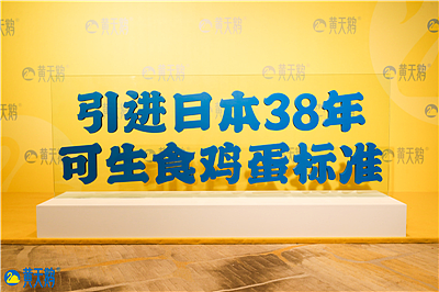 黄天鹅“奇袭”,背后的关键思考和底气