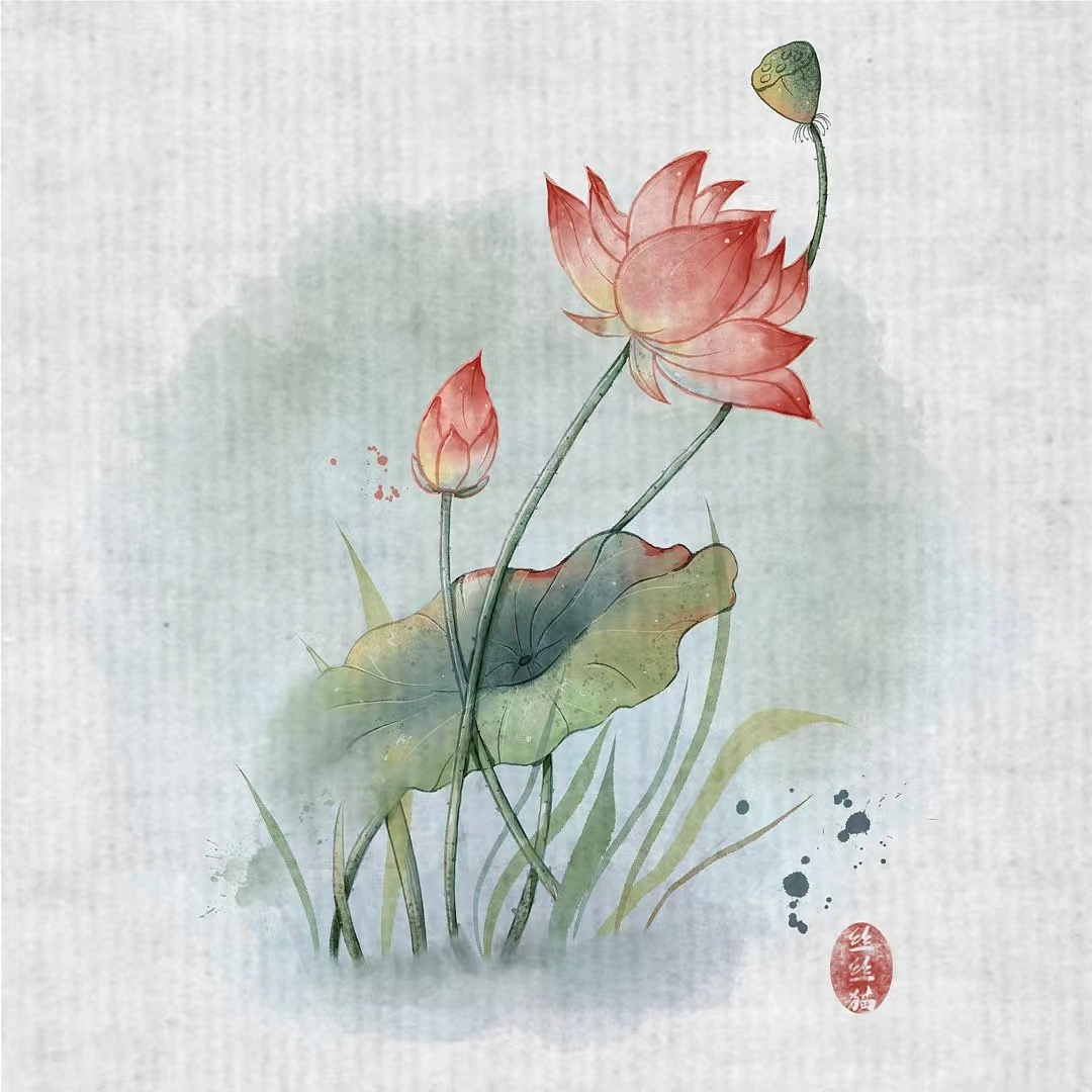 练手小画《渌波》 水墨荷花|插画|艺术插画|丝丝猫 - 原创作品 - 站酷
